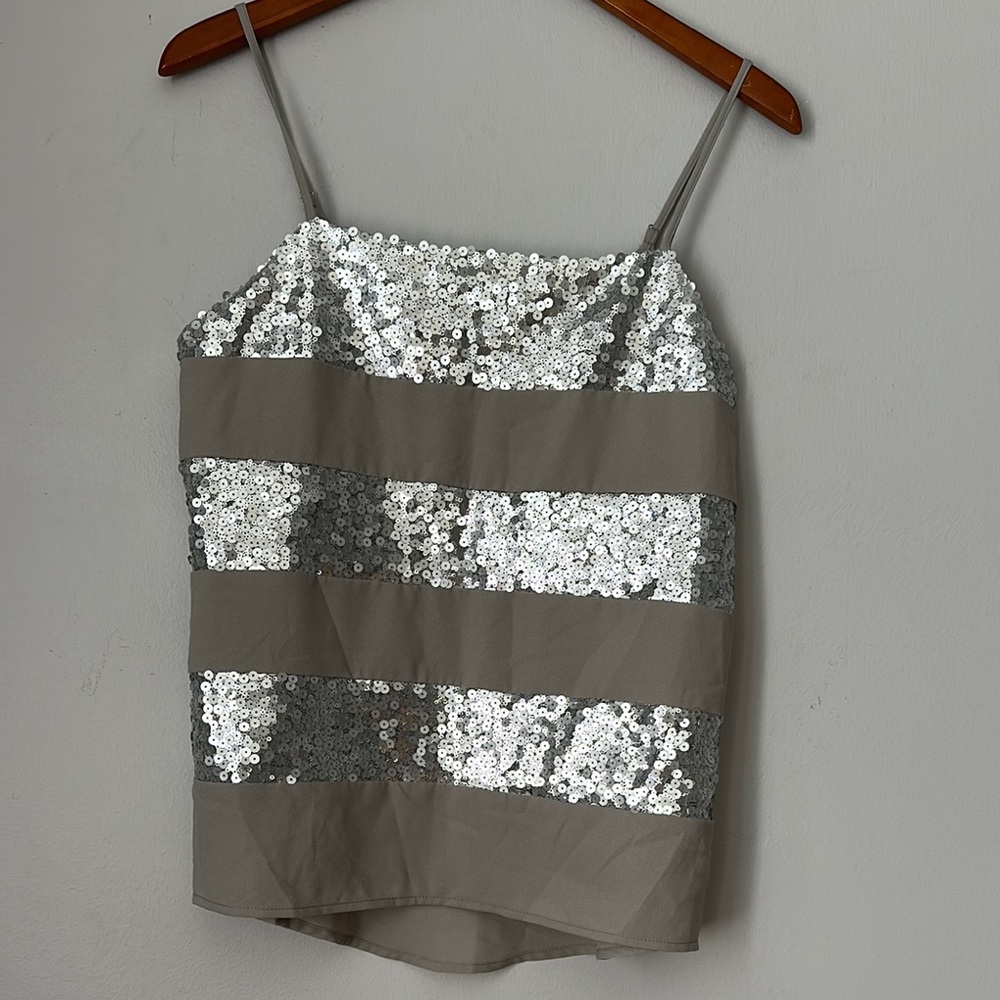 Sequin Striped Silver and Gray Women's Top size M NWT